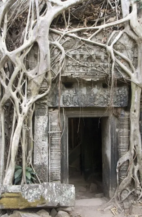 Framed Print : Ta Prohm, Angkor Archaeological Park, UNESCO World Heritage Site, Siem Reap, Cambodia, Indochina, Southeast Asia, Asia Framed Print : Ta Prohm, Angkor Archaeological Park, UNESCO World Heritage Site, Siem Reap, Cambodia, Indochina, Southeast Asia, Asia