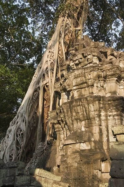 Ta Prohm Kei temple, Angkor Thom, Angkor, UNESCO World Heritage Site, Siem Reap