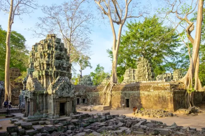 Framed Print : Ta Prohm temple ruins, Angkor, UNESCO World Heritage Site, Siem Reap Province, Cambodia Framed Print : Ta Prohm temple ruins, Angkor, UNESCO World Heritage Site, Siem Reap Province, Cambodia