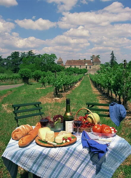Table set with a picnic lunch in a vineyard in Aquitaine, France, Europe