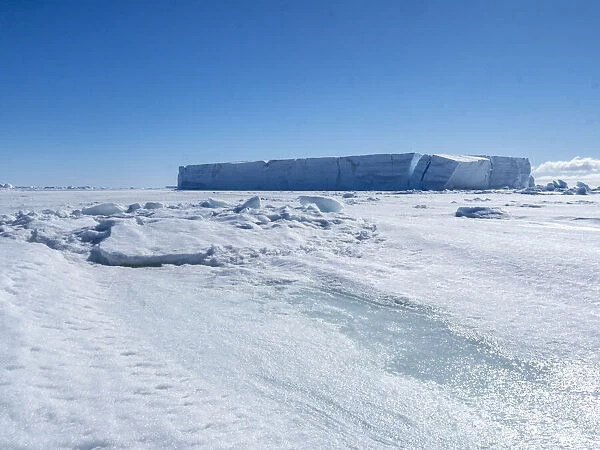 Tabular ice trapped amongst the first year sea ice near Snow Hill Island, Weddell Sea, Antarctica, Polar Regions