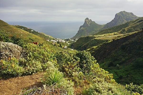 Taganana village, Anaga Mountains, Tenerife, Canary Islands, Spain, Atlantic, Europe
