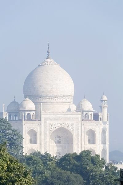 The Taj Mahal, UNESCO World Heritage Site, Uttar Pradesh, India, Asia