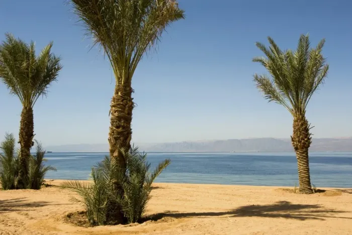 Framed Print : Tala Bay Beach, Tala Bay, Aqaba, Jordan, Middle East