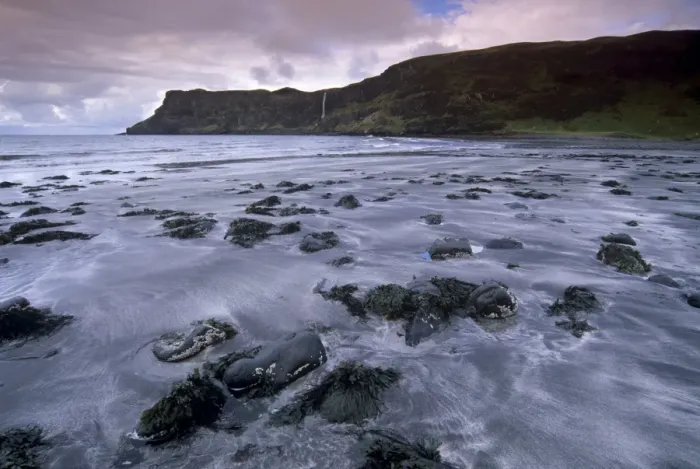 Framed Print : Talisker Bay Framed Print : Talisker Bay