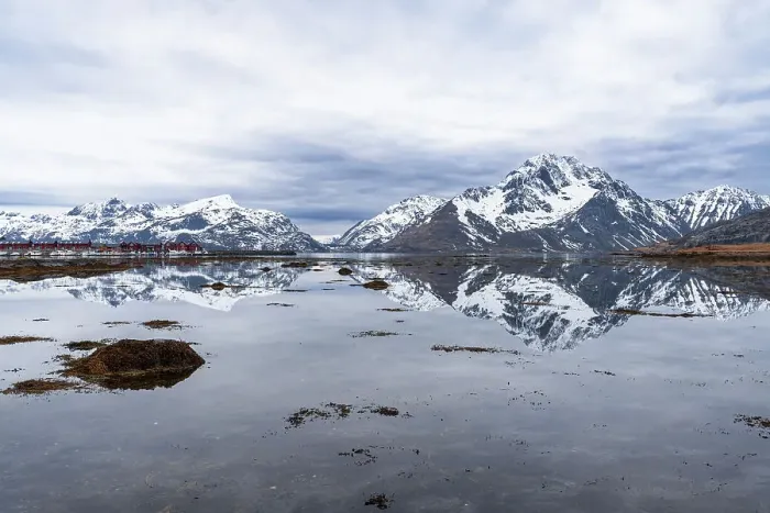 Framed Print : Tall mountains with snowy peaks reflecting in the calm water of the fjord at high tide with scenic clouds, Leknes, Lofoten Islands, Norway, Scandinavia, Europe Framed Print : Tall mountains with snowy peaks reflecting in the calm water of the fjord at high tide with scenic clouds, Leknes, Lofoten Islands, Norway, Scandinavia, Europe