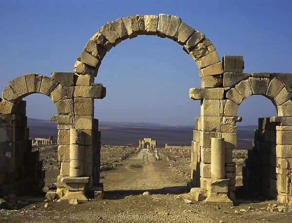 Tangier Gate, Volubilis, UNESCO World Heritage Site, Morocco, North Africa, Africa