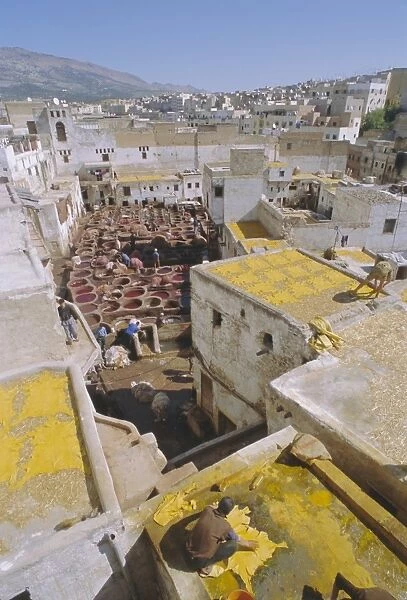 The tanneries