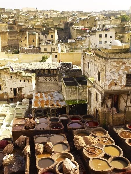 Tannery, Fez, Morocco, North Africa, Africa
