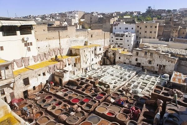 Tannery, Fez, UNESCO World Heritage Site, Morocco, North Africa, Africa