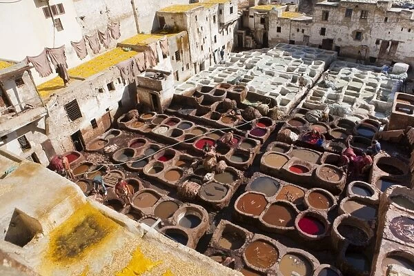 Tannery, Fez, UNESCO World Heritage Site, Morocco, North Africa, Africa