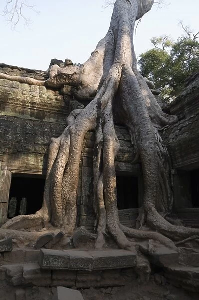 Taprohm Kei temple, Angkor Thom, Siem Reap, Cambodia