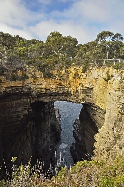 Tasman Arch, Pirates Bay, Tasman Peninsula, Tasmania, Australia, Pacific
