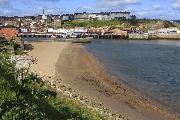 Tate Hill Beach, cliff side wild spring flowers, view to town and West Cliff, Whitby