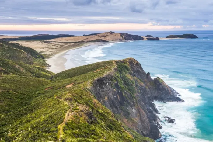 Framed Print : Te Werahi Beach at sunrise, with Te Paki Coastal Track path visible, Cape Reinga Framed Print : Te Werahi Beach at sunrise, with Te Paki Coastal Track path visible, Cape Reinga