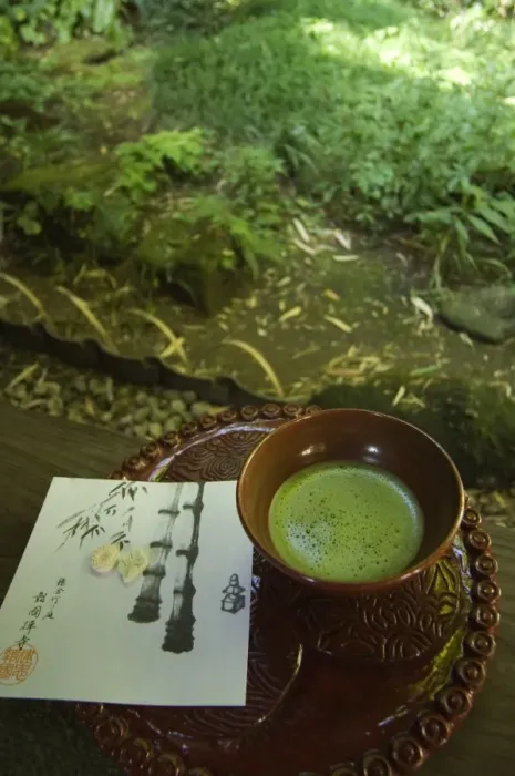 Framed Print : Tea ceremony in bamboo forest Framed Print : Tea ceremony in bamboo forest