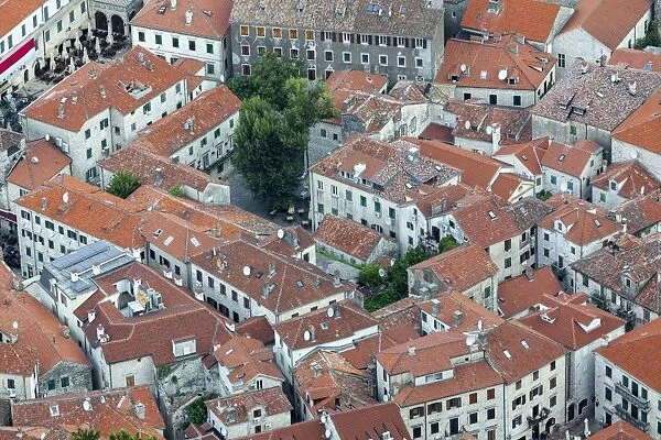 Telephoto view of Kotor Old Town, UNESCO World Heritage Site, Montenegro, Europe