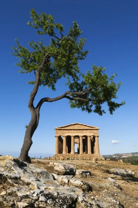 Framed Print : Tempio di Concordia (Concord) and almond tree, Valle dei Templi, UNESCO World Heritage Site Framed Print : Tempio di Concordia (Concord) and almond tree, Valle dei Templi, UNESCO World Heritage Site