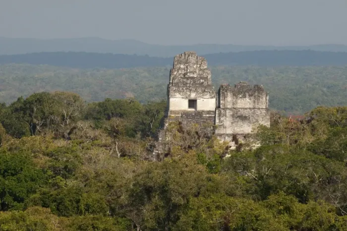 Framed Print : Temple I and Temple II, Mayan archaeological site, Tikal, UNESCO World Heritage Site Framed Print : Temple I and Temple II, Mayan archaeological site, Tikal, UNESCO World Heritage Site