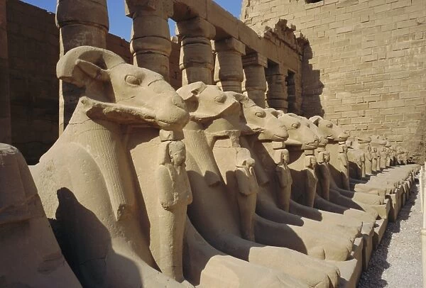 Temple of Karnak, Luxor, Egypt, North Africa