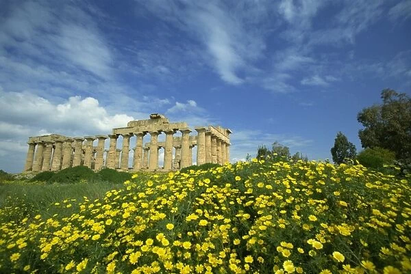Temple amongst the spring flowers, Selinunte, established 5th century BC