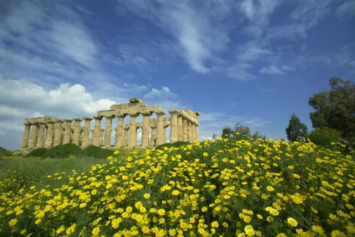 Framed Print : Temple amongst the spring flowers, Selinunte, established 5th century BC Framed Print : Temple amongst the spring flowers, Selinunte, established 5th century BC