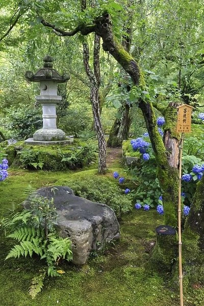 Tenryu-ji temple garden, large stone lantern amongst leafy trees with vivid blue