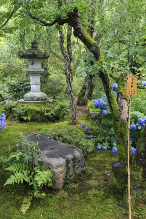 Framed Print : Tenryu-ji temple garden, large stone lantern amongst leafy trees with vivid blue Framed Print : Tenryu-ji temple garden, large stone lantern amongst leafy trees with vivid blue
