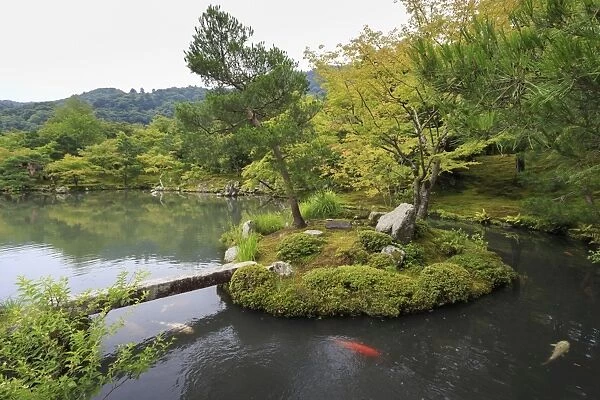 Tenryu-ji temple, Zen garden lake with carp, backdrop of borrowed mountain scenery in summer