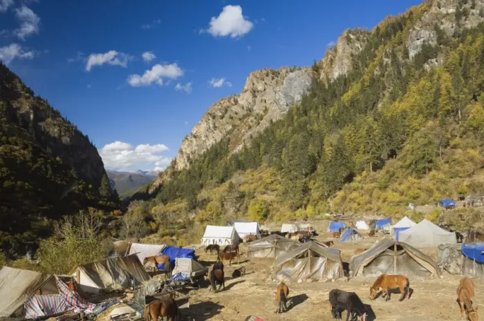 Framed Print : Tent camp, Yading Nature Reserve, Sichuan Province, China, Asia Framed Print : Tent camp, Yading Nature Reserve, Sichuan Province, China, Asia