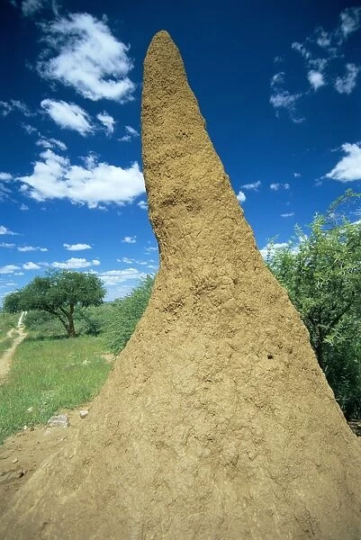 Termite mound near Okahandja