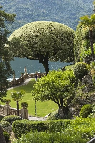 Terrace with giant topiary, Villa Barbonella, Lake Como, Lombardy, Italy, Europe