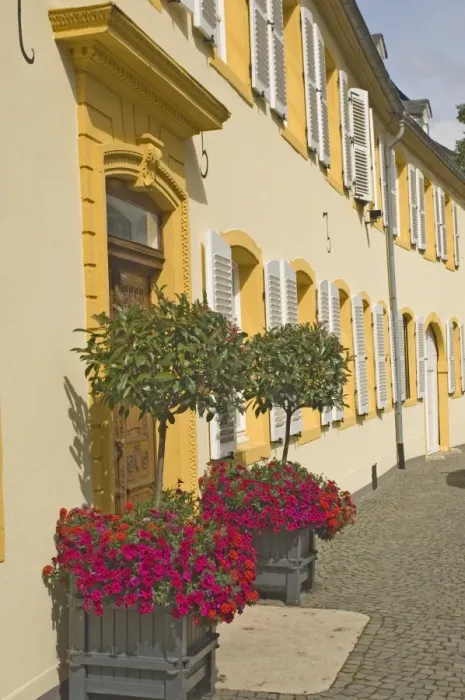Framed Print : Terrace houses with traditional shuttered windows Framed Print : Terrace houses with traditional shuttered windows