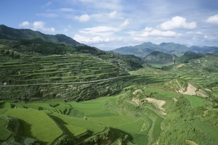 Framed Print : Terraced agricultural land between Taijiang and Fanpai, Guizhou Province, China, Asia