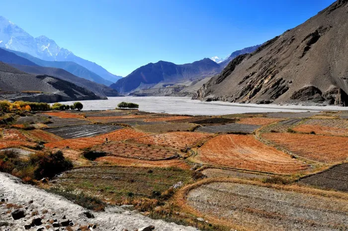 Framed Print : Terraced barley fields near Kagbeni, Mustang, Nepal, Himalayas, Asia Framed Print : Terraced barley fields near Kagbeni, Mustang, Nepal, Himalayas, Asia