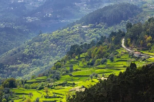 Terraced fields, Peneda Geres National Park, the only national park in Portugal, Norte Region