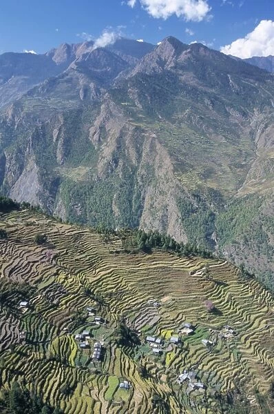 Terraced fields in upper Trisuli Valley