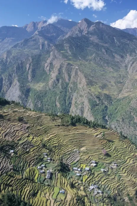 Framed Print : Terraced fields in upper Trisuli Valley Framed Print : Terraced fields in upper Trisuli Valley