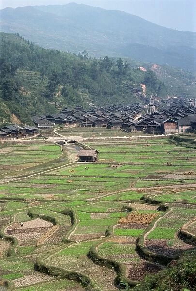 Terraced fields and the wooden village of Shaoxing, Zhejiang province, China, Asia