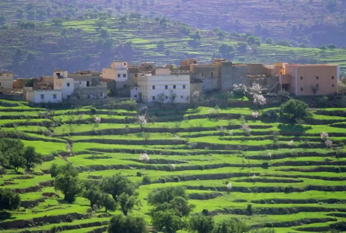 Framed Print : Terraced landscape Framed Print : Terraced landscape