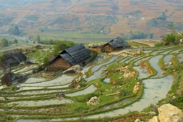 Framed Print : Terraced rice fields, Sapa area, North Vietnam, Vietnam, Indochina, Southeast Asia, Asia Framed Print : Terraced rice fields, Sapa area, North Vietnam, Vietnam, Indochina, Southeast Asia, Asia