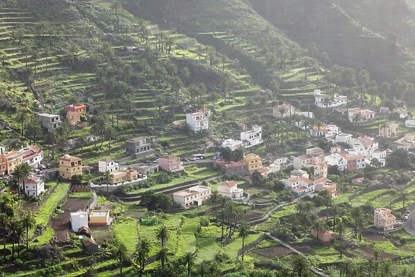 Terraces, Valle Gran Rey, La Gomera, Canary Islands, Spain, Europe