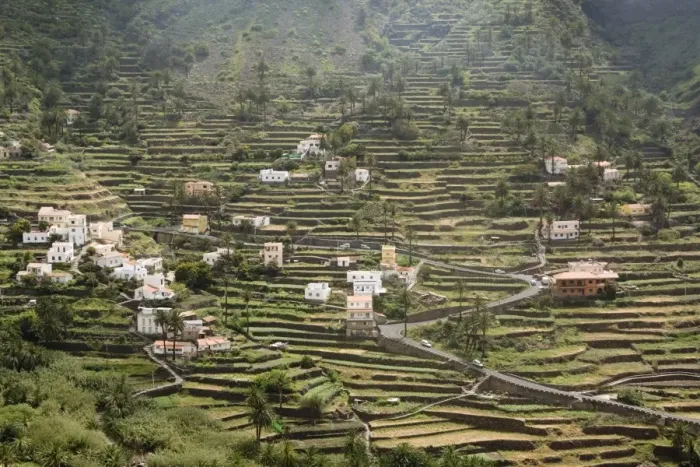 Framed Print : Terraces, Valle Gran Rey, La Gomera, Canary Islands, Spain, Atlantic, Europe Framed Print : Terraces, Valle Gran Rey, La Gomera, Canary Islands, Spain, Atlantic, Europe