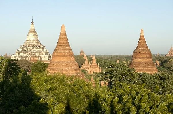 Terracotta temples of Bagan, founded in the 9th century, in the late afternoon sunlight