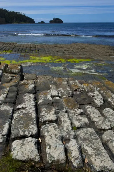 Framed Print : Tessellated Pavement, Tasman Peninsula, Tasmania, Australia, Pacific Framed Print : Tessellated Pavement, Tasman Peninsula, Tasmania, Australia, Pacific