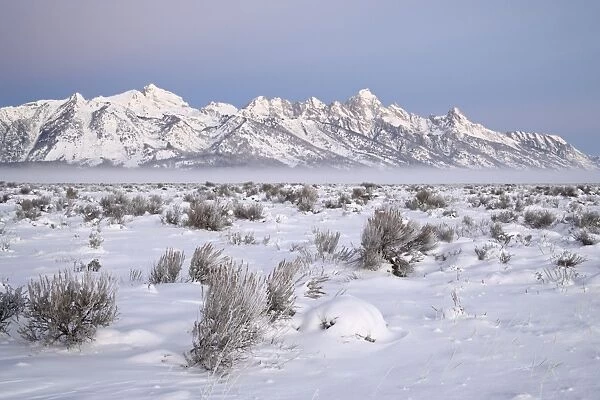 Teton range at dawn in winter