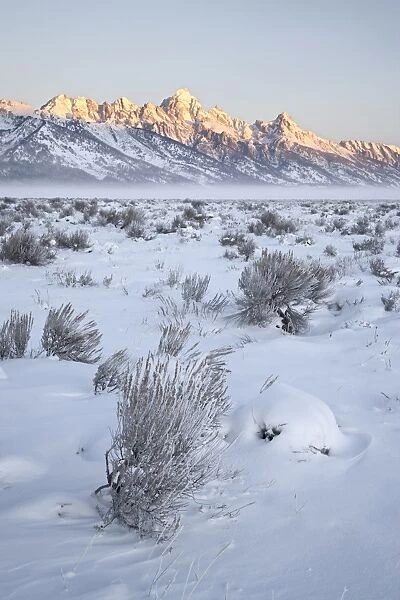 Teton range at first light in winter