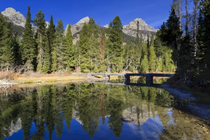 Framed Print : Teton Range, footbridge and pines with reflections, Bradley Lake, Grand Teton National Park, Wyoming, United States of America, North America Framed Print : Teton Range, footbridge and pines with reflections, Bradley Lake, Grand Teton National Park, Wyoming, United States of America, North America