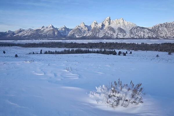 The Tetons at dawn after a fresh snow, Grand Teton National Park, Wyoming, United States of America, North America