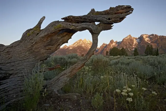 Framed Print : Tetons at first light, Grand Teton National Park, Wyoming, United States of America Framed Print : Tetons at first light, Grand Teton National Park, Wyoming, United States of America
